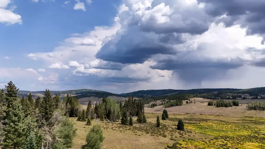 TBD Usfs Road 93, Tres Piedras, NM 87577 - #2