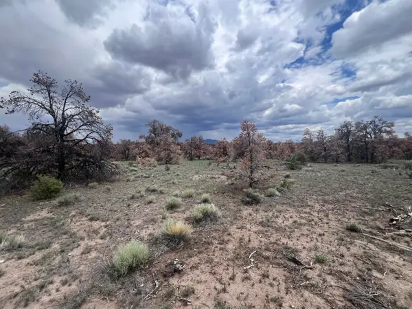LOT 57 Fountain Hills Rd, Quemado, NM 87829