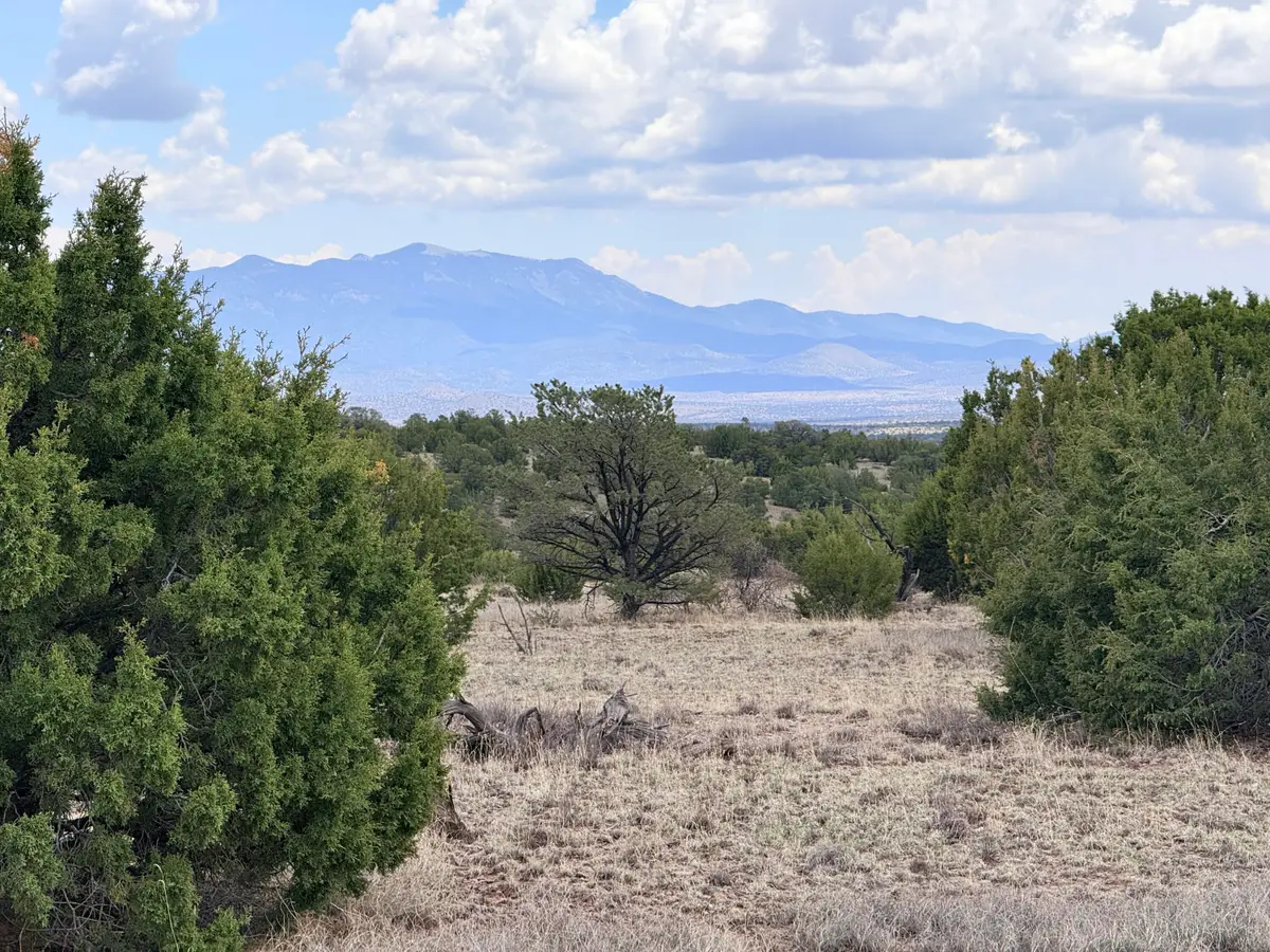 Lot 155 Pinon Springs, Magdalena, NM 87825 - #1