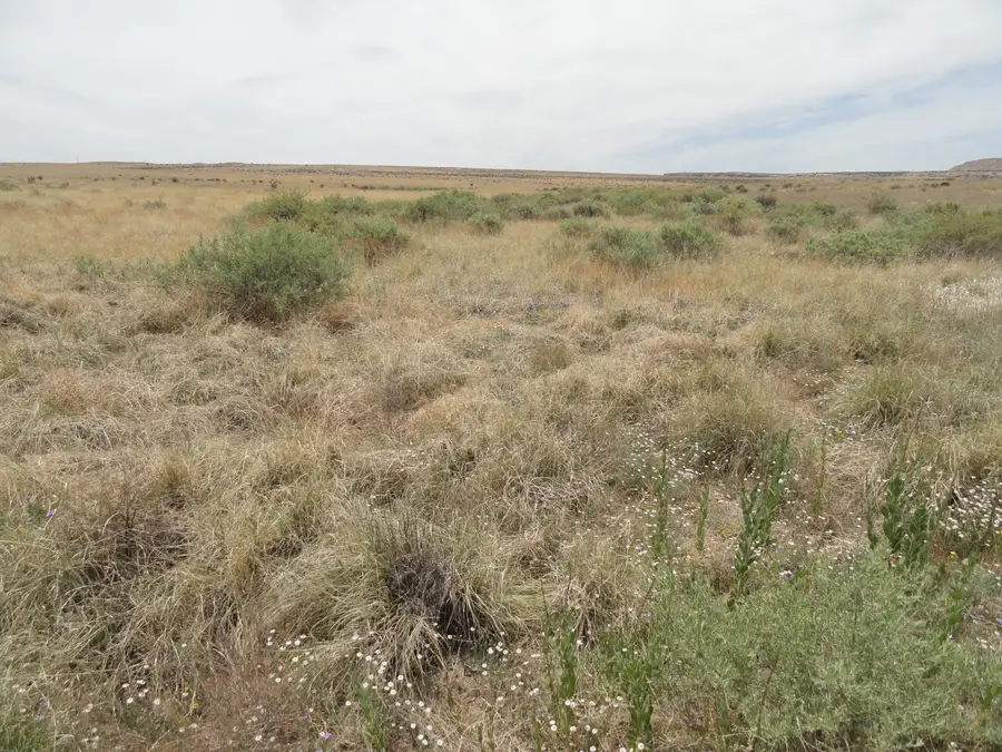 Canyon Road, Laguna, NM 87026 - #2