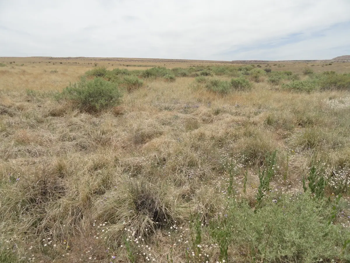 Canyon, Laguna, NM 87026 - #1
