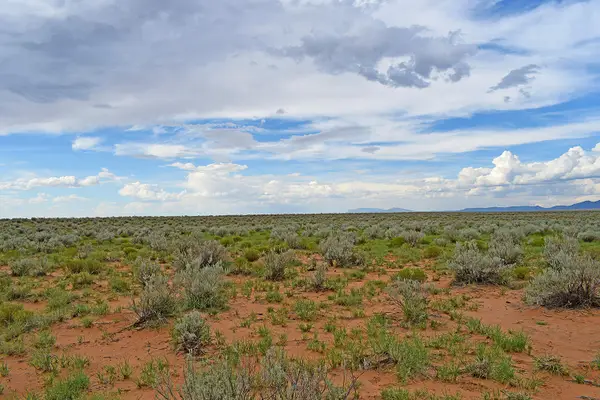 Lot 14 Rio Grande Estates #26, Belen, NM 87002