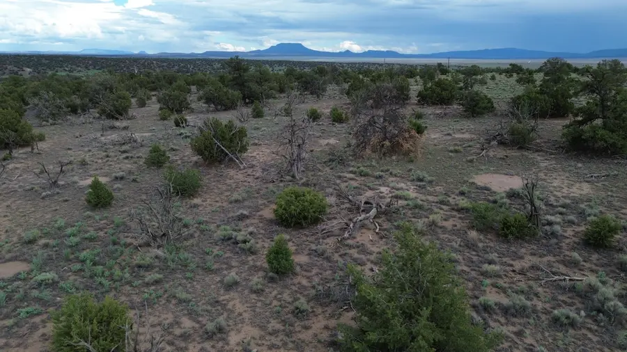 LOT 20 Horseshoe Cir, Quemado, NM 87829 - #2