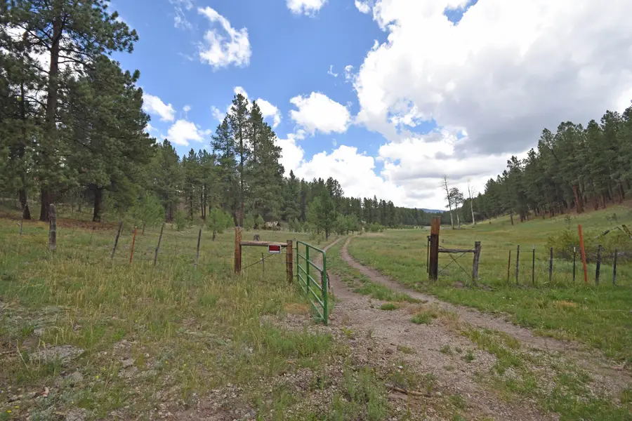 27.5 Acres Jemez Mountain Forest Rd 10, Jemez Springs, NM 87025 - #2