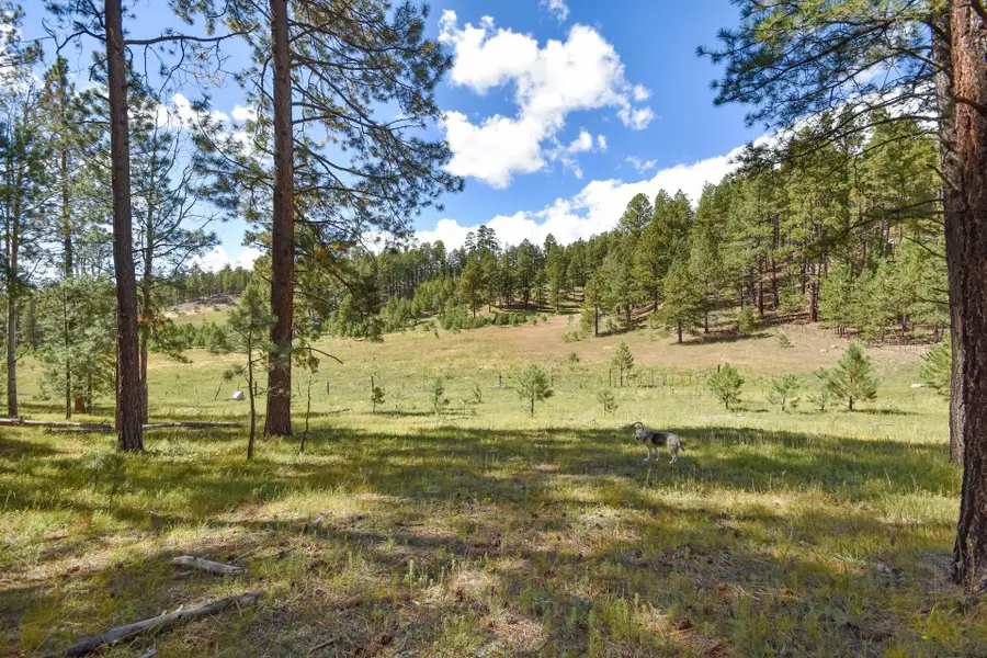 27.5 Acres Jemez Mountain Forest Rd 10, Jemez Springs, NM 87025 - #3