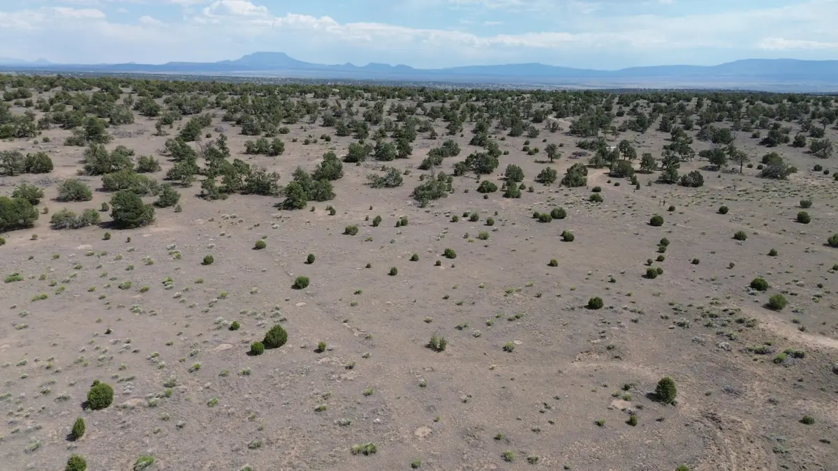 LOT 103 Tee Pee Trl, Quemado, NM 87829 - #1