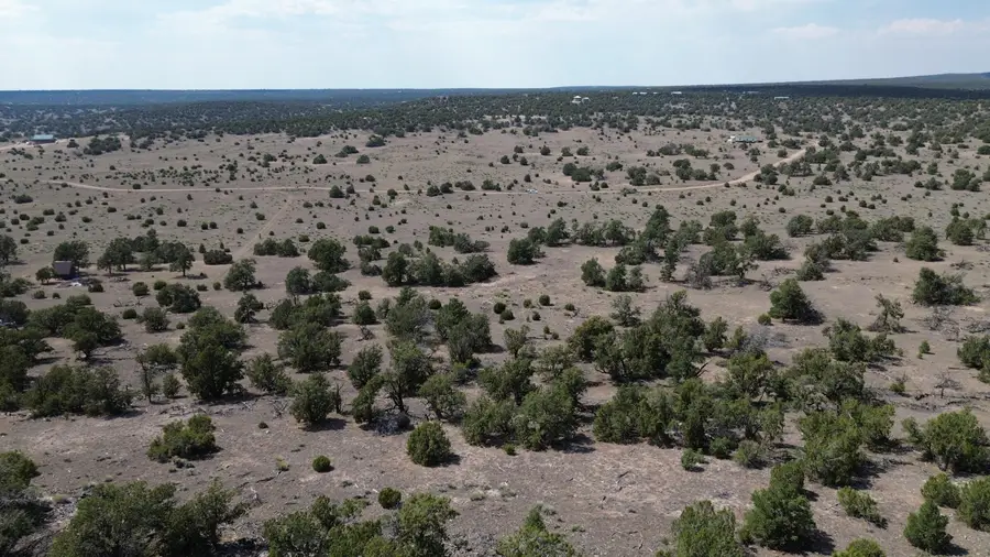 LOT 103 Tee Pee Trl, Quemado, NM 87829 - #3