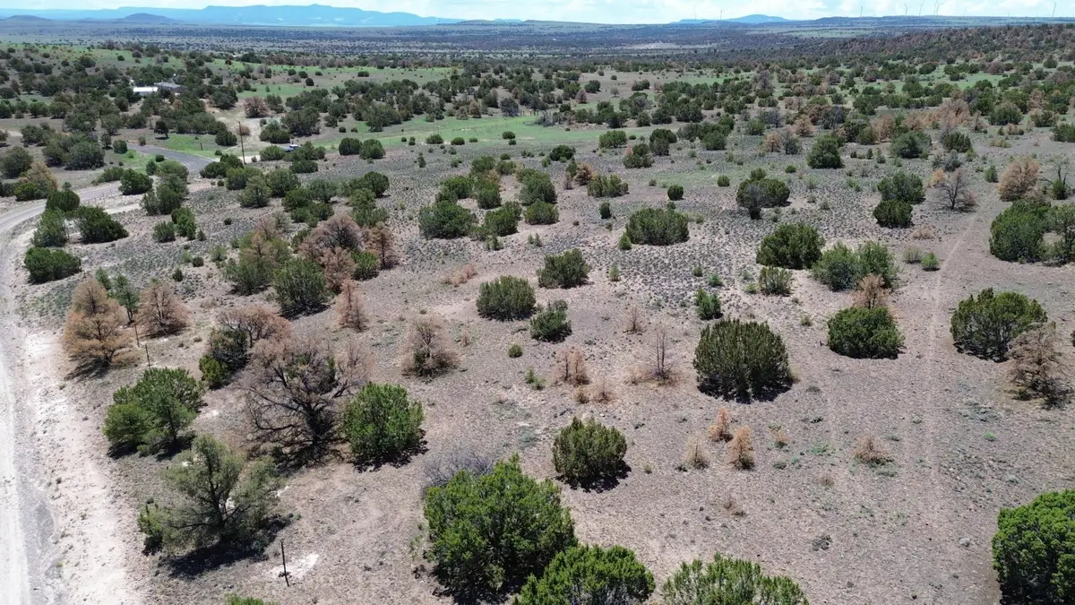 LOT 13 Cimarron Drive, Quemado, NM 87829 - #1
