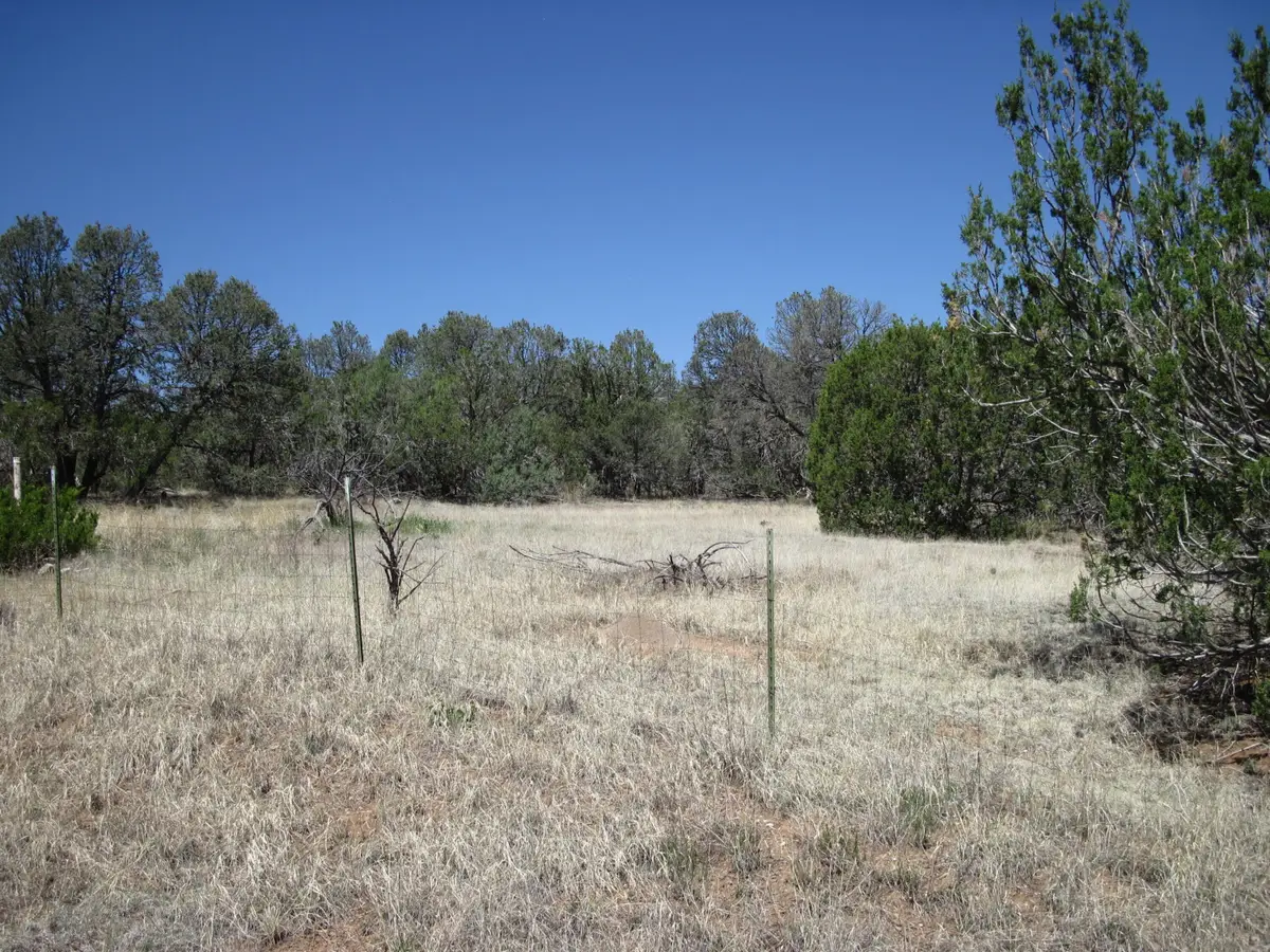 156 Jesse James Road, Edgewood, NM 87015 - #1