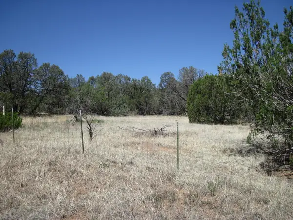 156 Jesse James Road, Edgewood, NM 87015