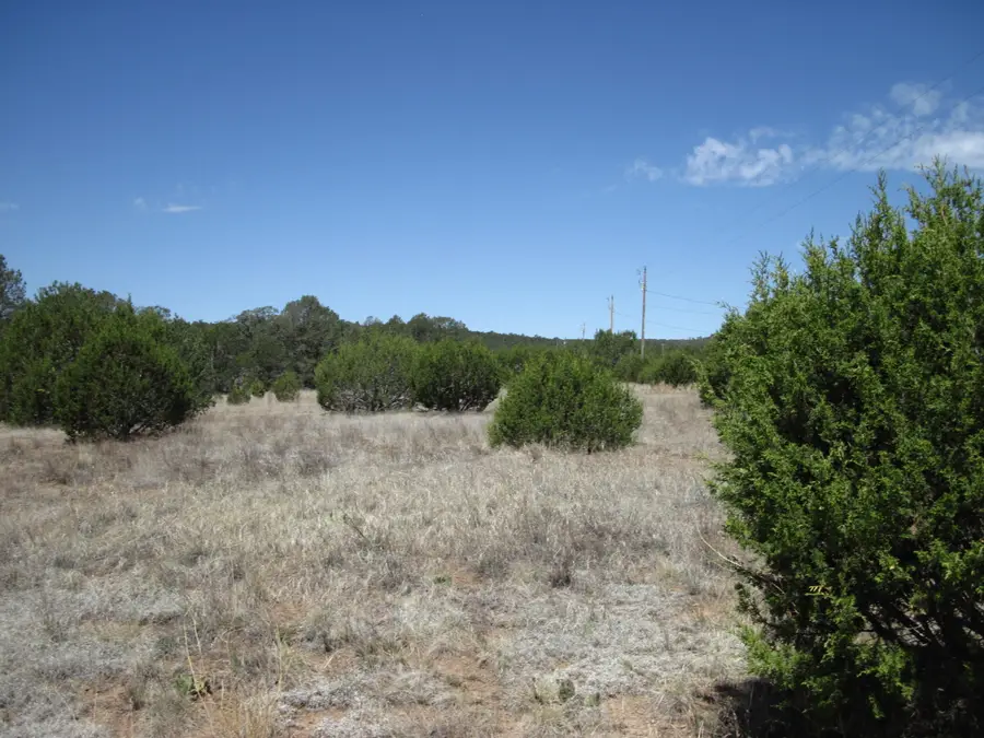 156 Jesse James Road, Edgewood, NM 87015 - #2