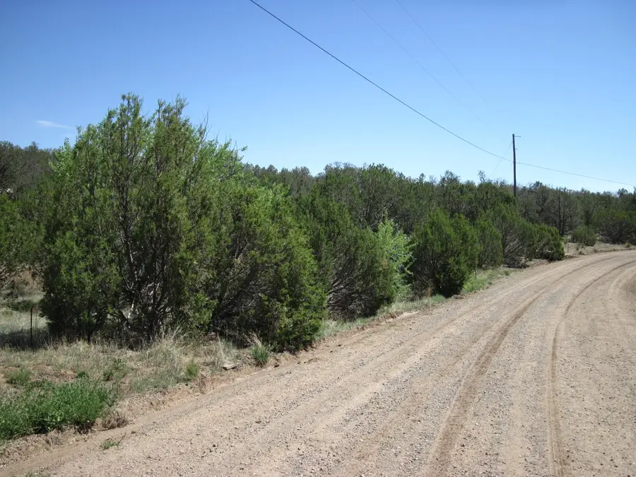 156 Jesse James Road, Edgewood, NM 87015 - #3