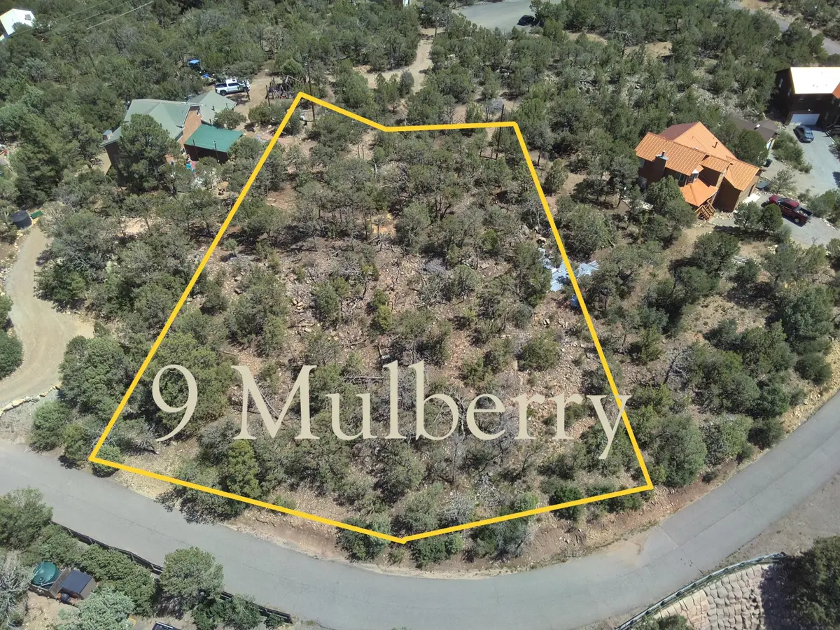 9 Mulberry Loop, Cedar Crest, NM 87008 - #1