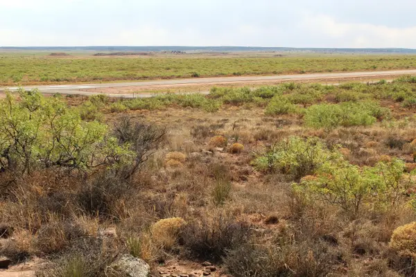 Lots 25-26 Nickel Lane, Conchas Dam, NM 88416