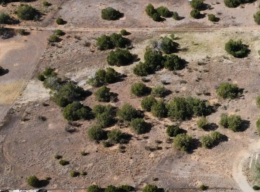Park Road, Edgewood, NM 87015 - #1