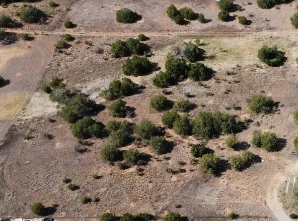 Park Road, Edgewood, NM 87015