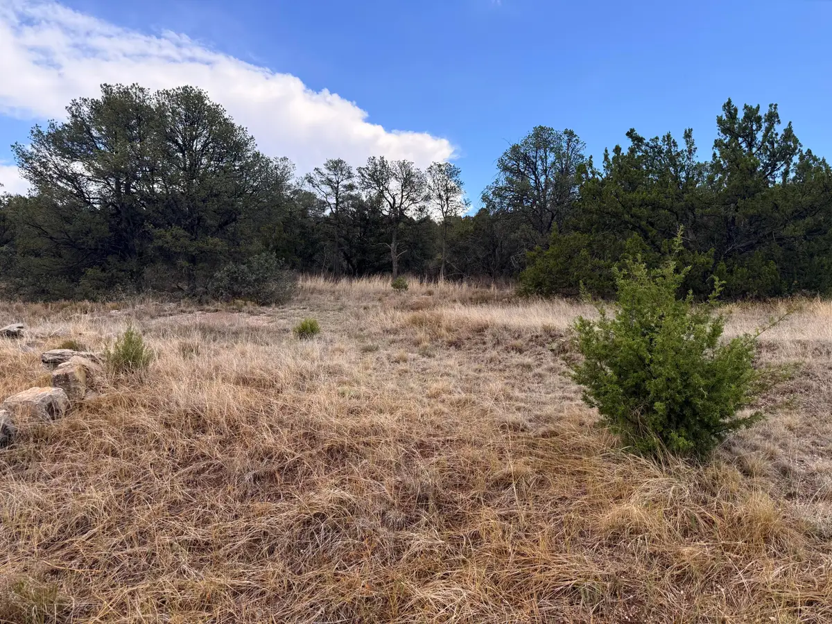 Lot 8 Horseshoe Bend Road, Edgewood, NM 87015 - #1