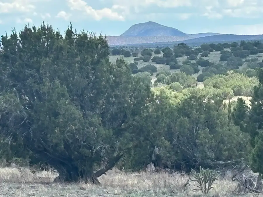Lot 24 Pinon Springs Road, Magdalena, NM 87825 - #2