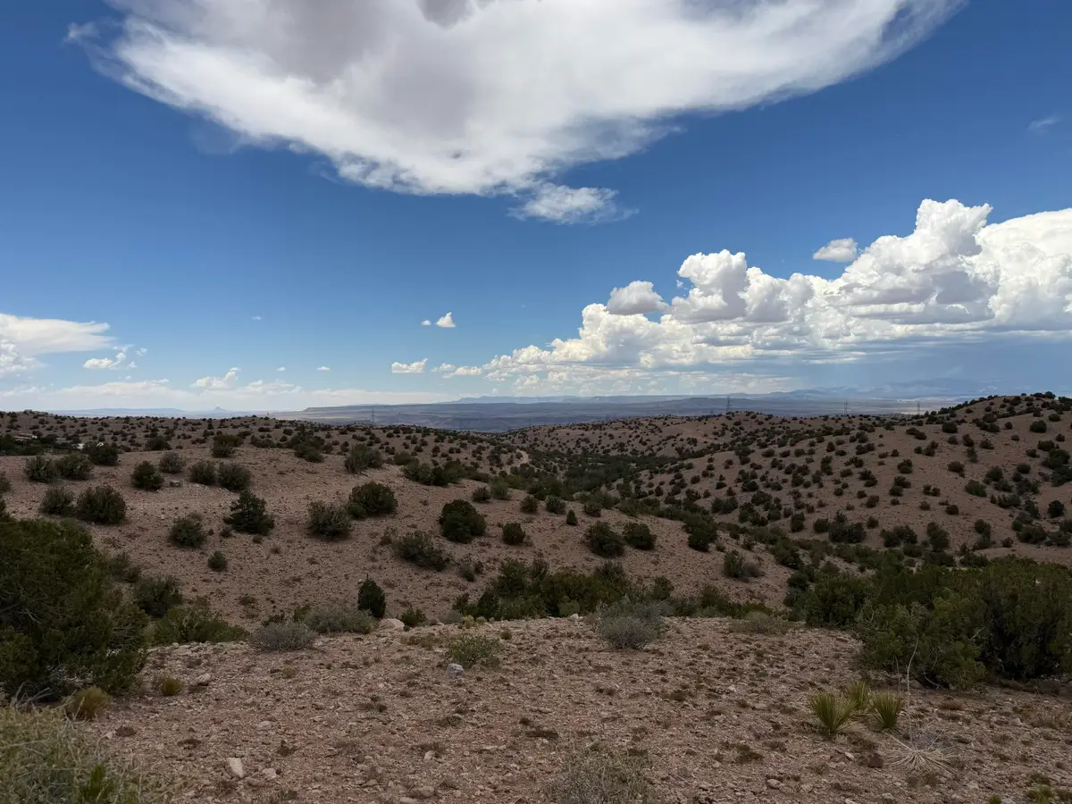 Caballo Palido, Placitas, NM 87043 - #1