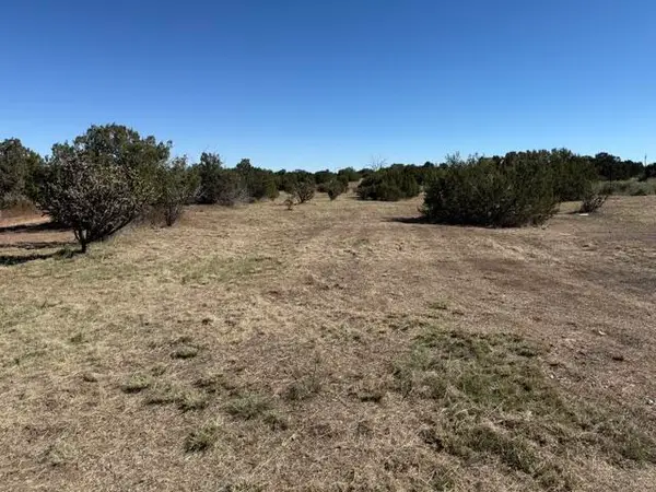 TBD Indian Hills Road, Moriarty, NM 87035