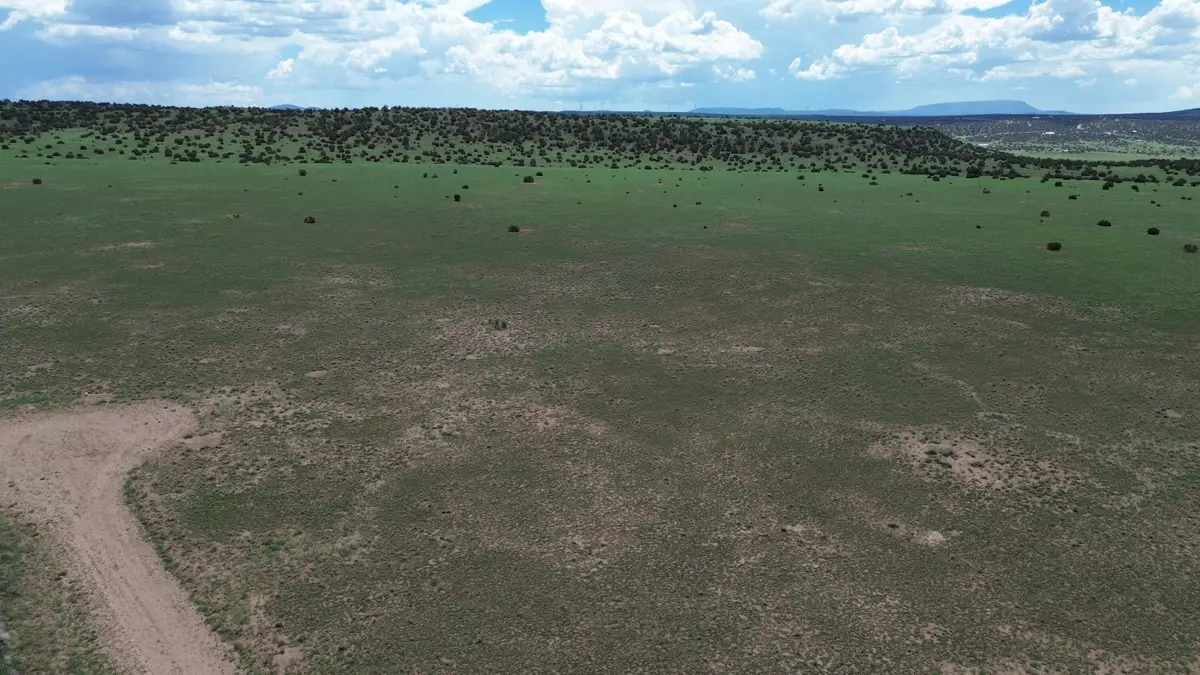 LOT 169 Deer Circle, Quemado, NM 87829 - #1