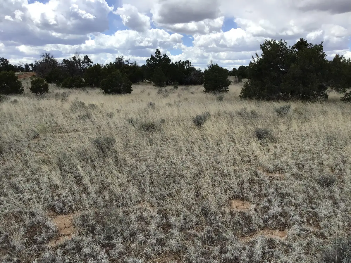 Lots 38-39 Country Lane, Ramah, NM 87321 - #1