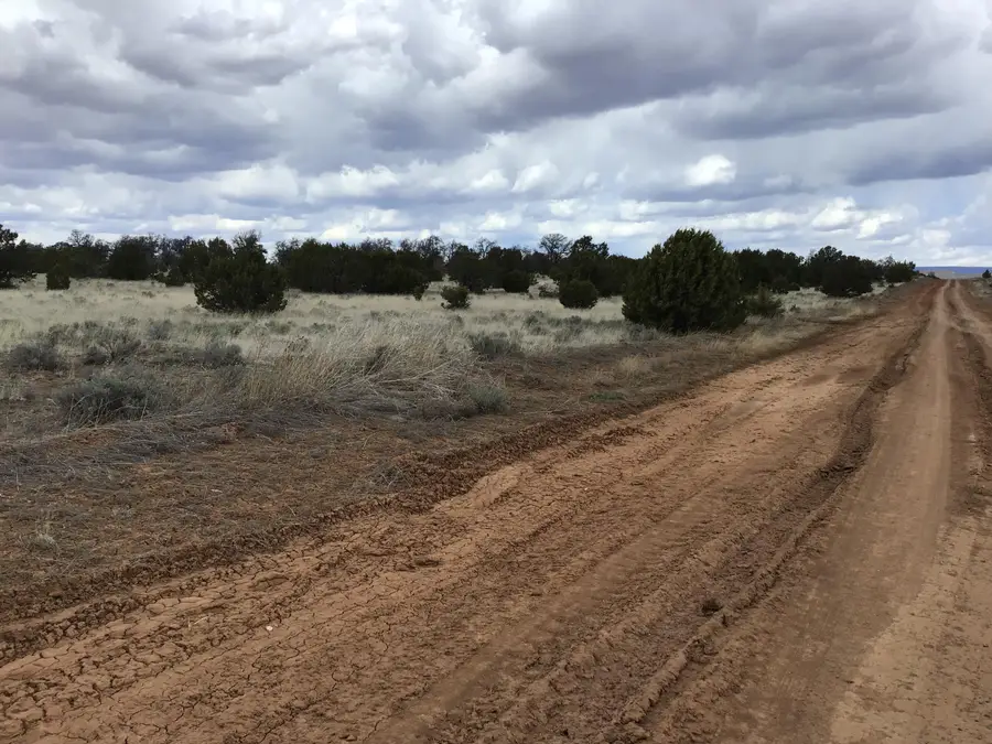 Lots 38-39 Country Lane, Ramah, NM 87321 - #3