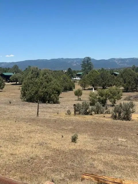 49A Heron P1 49a Private Road, Tierra Amarilla, NM 87575 - #2