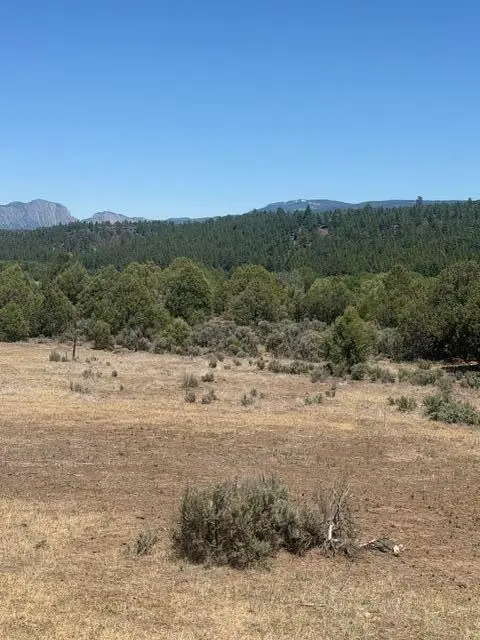 49A Heron P1 49a Private Road, Tierra Amarilla, NM 87575 - #3