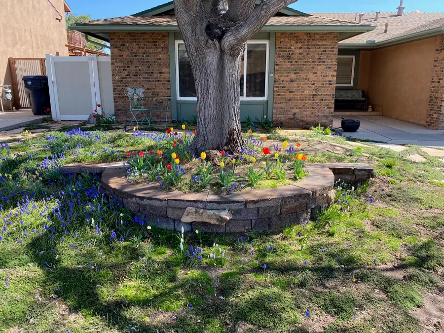 7108 Vivian Drive Ne, Albuquerque, NM 87109 - #2