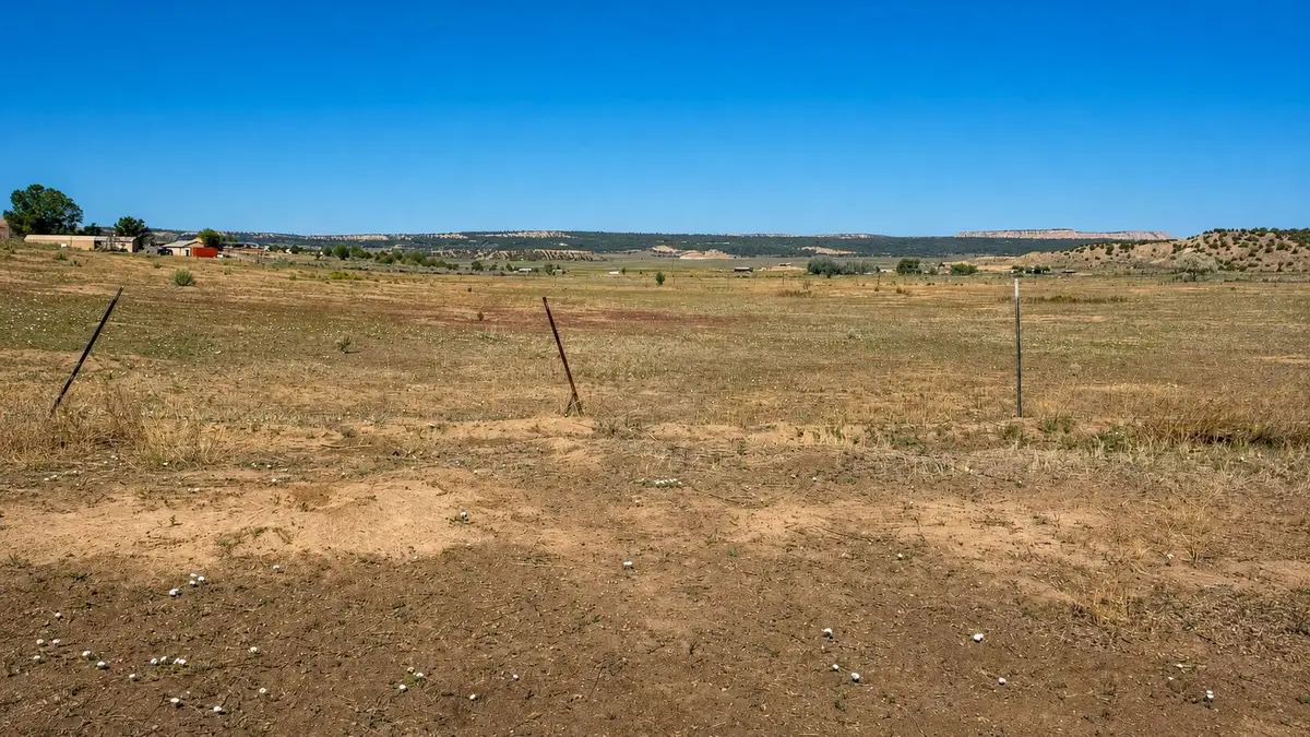 0 County Road 496, La Jara, NM 87027 - #1