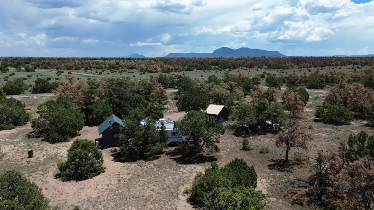 246 Spring Canyon Drive, Quemado, NM 87829 - #1