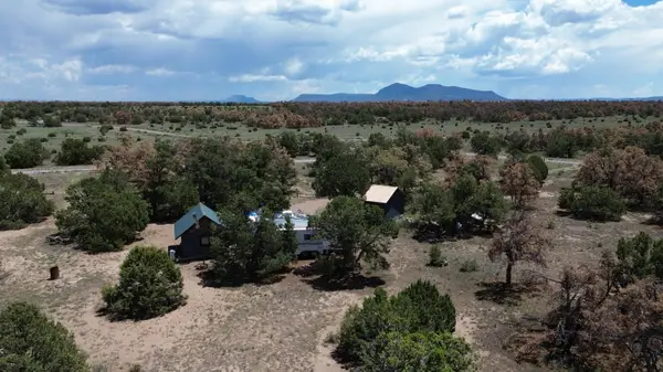246 Spring Canyon Drive, Quemado, NM 87829