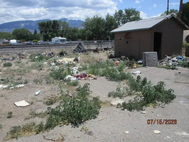 724 Avenida Perea, Bernalillo, NM 87004 - #2
