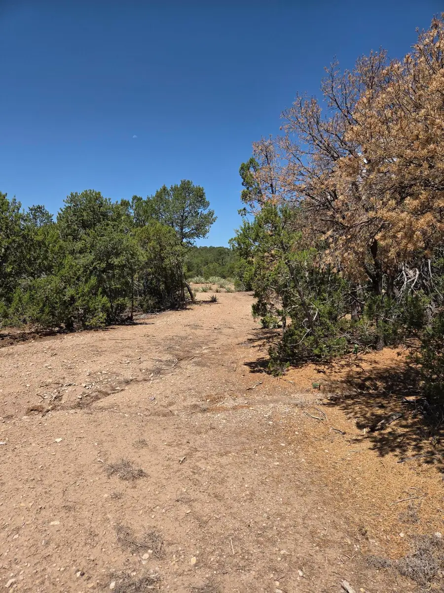 271 Genevieve Drive, Tijeras, NM 87059 - #3
