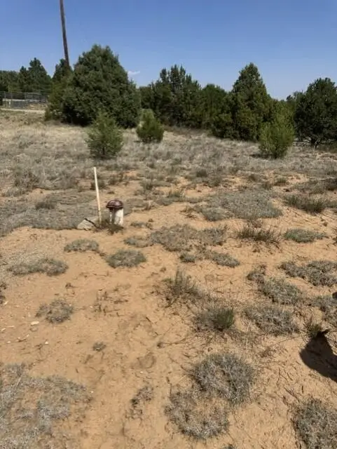 39 Quail Hollow Road, Tijeras, NM 87059 - #1