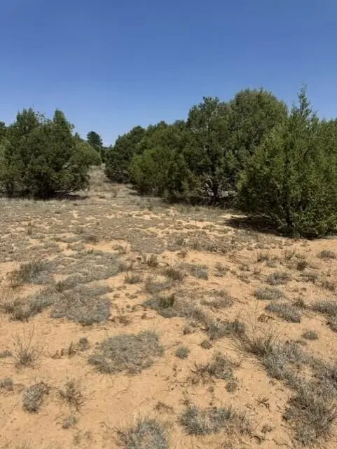 39 Quail Hollow Road, Tijeras, NM 87059 - #2