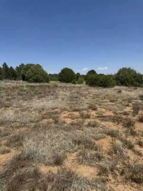 39 Quail Hollow Road, Tijeras, NM 87059 - #3