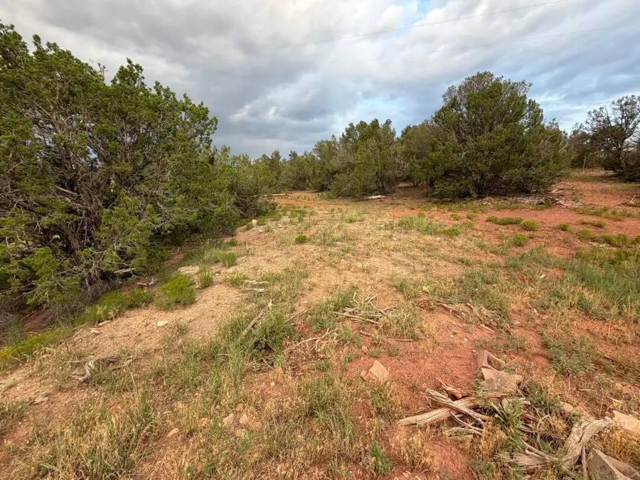 230 Frost Road, Sandia Park, NM 87047 - #2