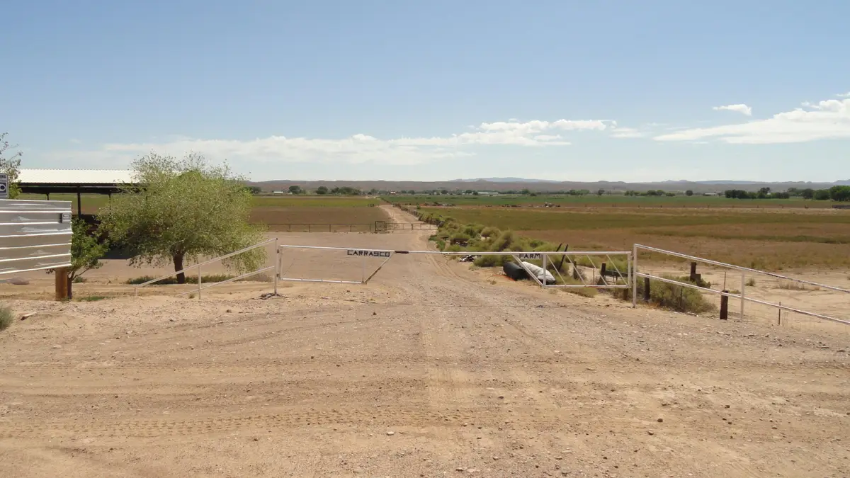 Carrasco Farm Lane Road, Polvadera, NM 87828 - #1