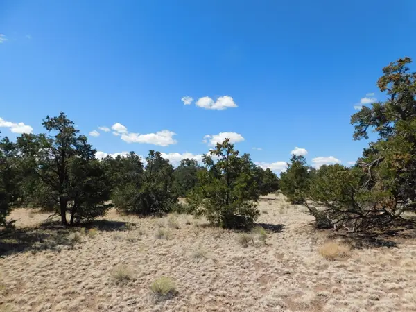15 River Lane, Quemado, NM 87829