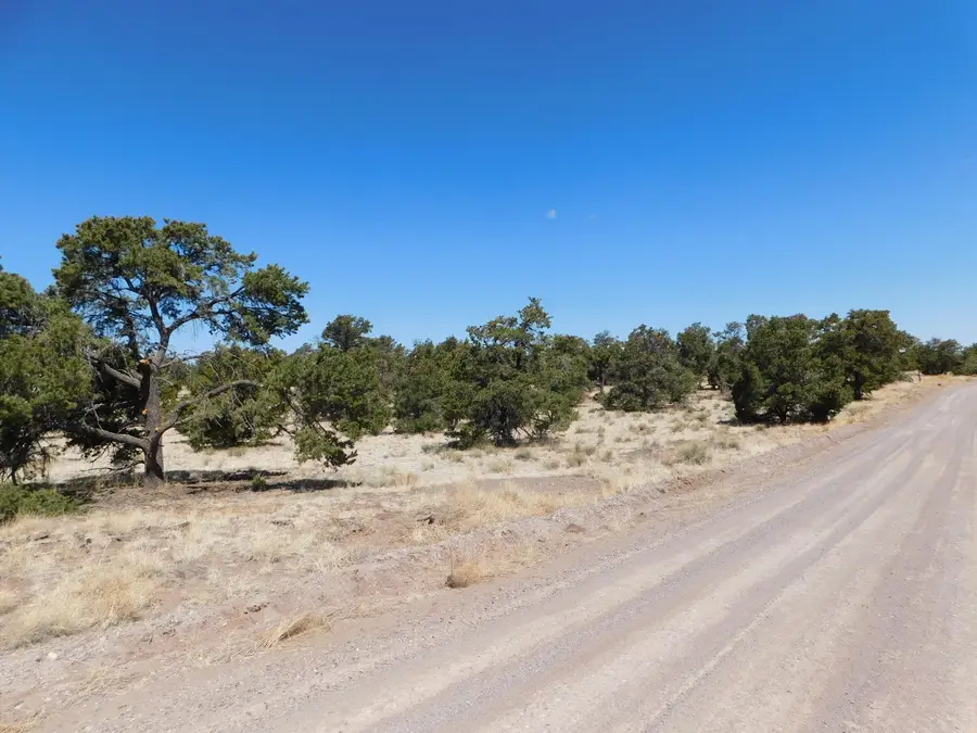 15 River Lane, Quemado, NM 87829 - #2