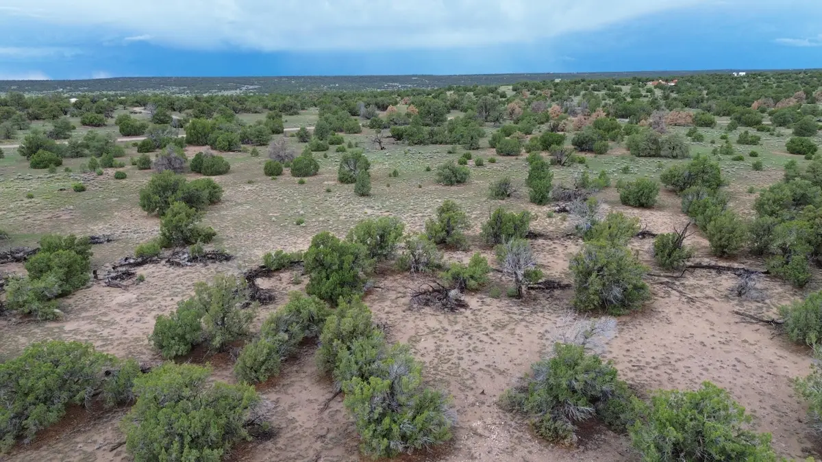 LOT 36 Arrow Ln, Quemado, NM 87829 - #1