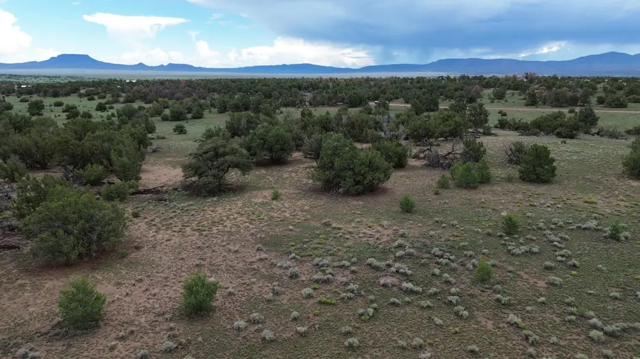 LOT 36 Arrow Ln, Quemado, NM 87829 - #3