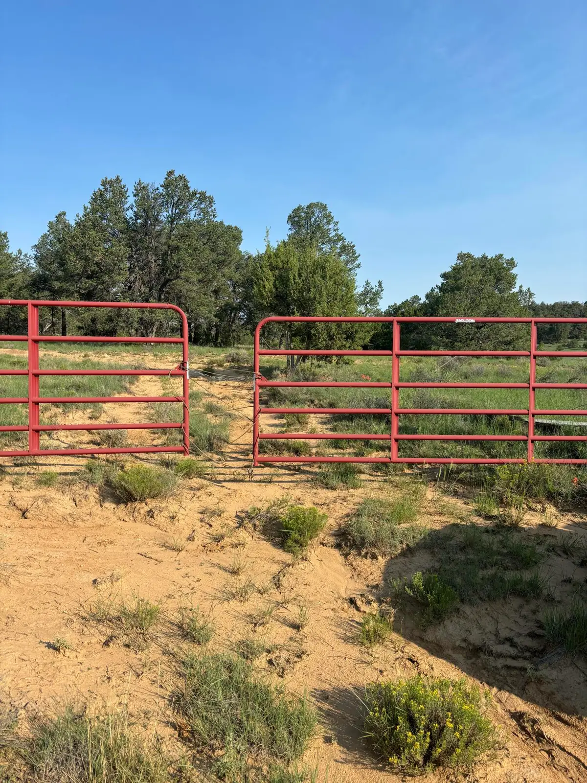 7 Branding Iron Road, Ramah, NM 87321 - #1
