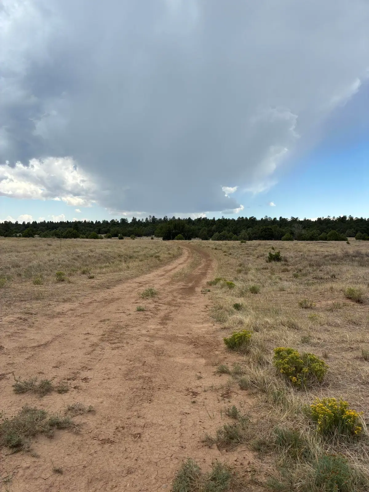 60 Gonzales Road, Tijeras, NM 87059 - #1