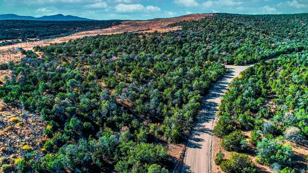 Twin Peaks Dr Drive, Estancia, NM 87016