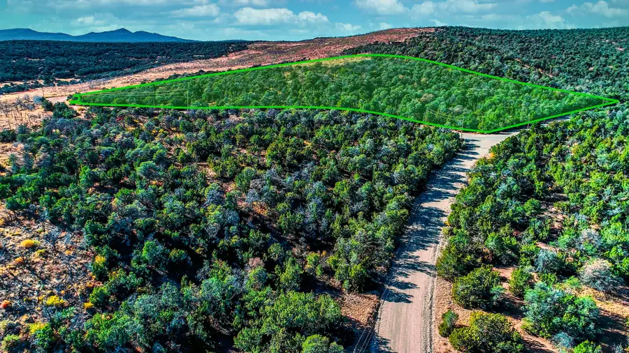 Twin Peaks Dr Drive, Estancia, NM 87016 - #2