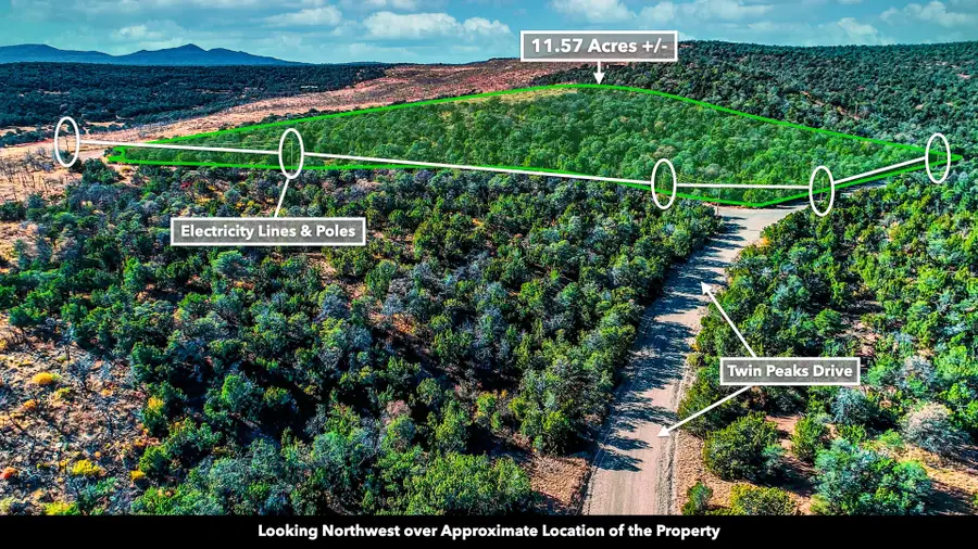 Twin Peaks Dr Drive, Estancia, NM 87016 - #3