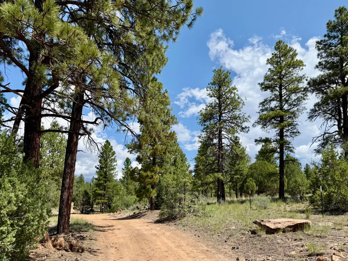 3 Leaning Pine Lane, Ramah, NM 87321 - #1